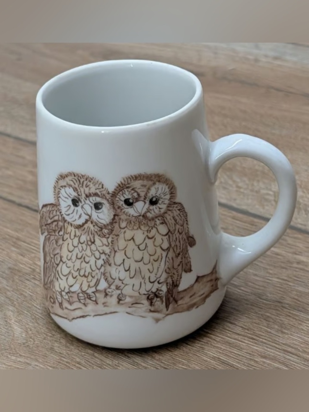 White Owl Illustration Ceramic Mug - Brown Accent